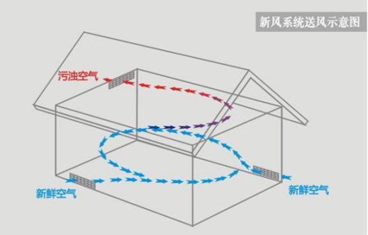 抖圈(中国区)人生就是搏!
